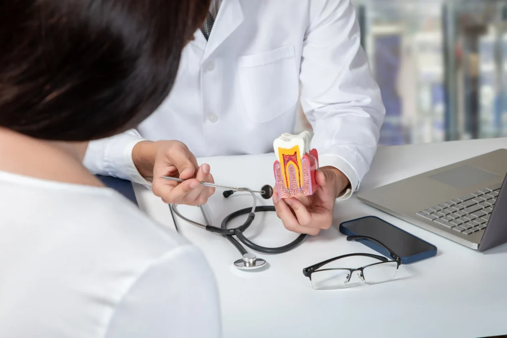 Dentist holding a tooth model showing the root canal