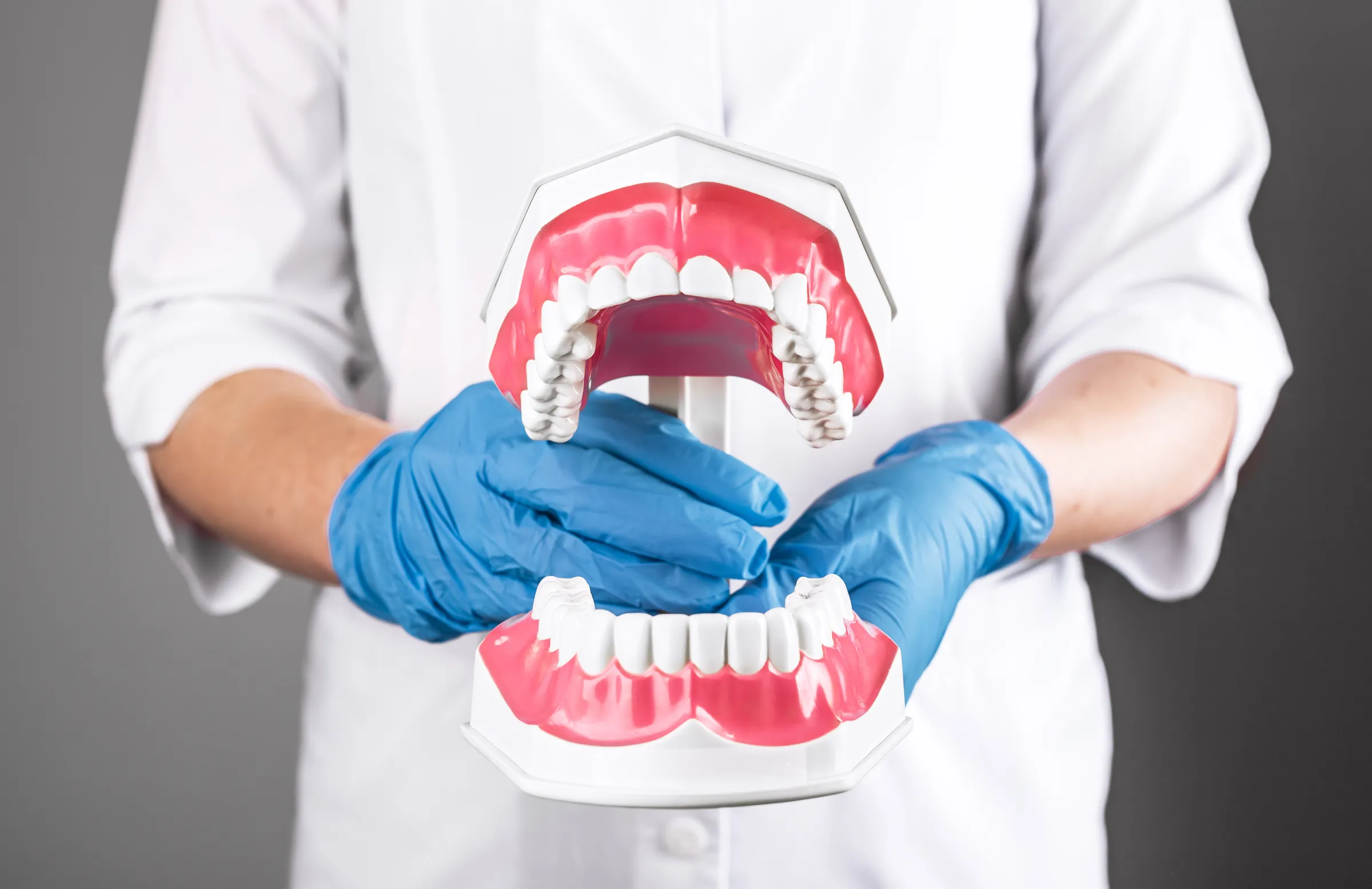 Clinician holding a large dental model of the upper and lower teeth